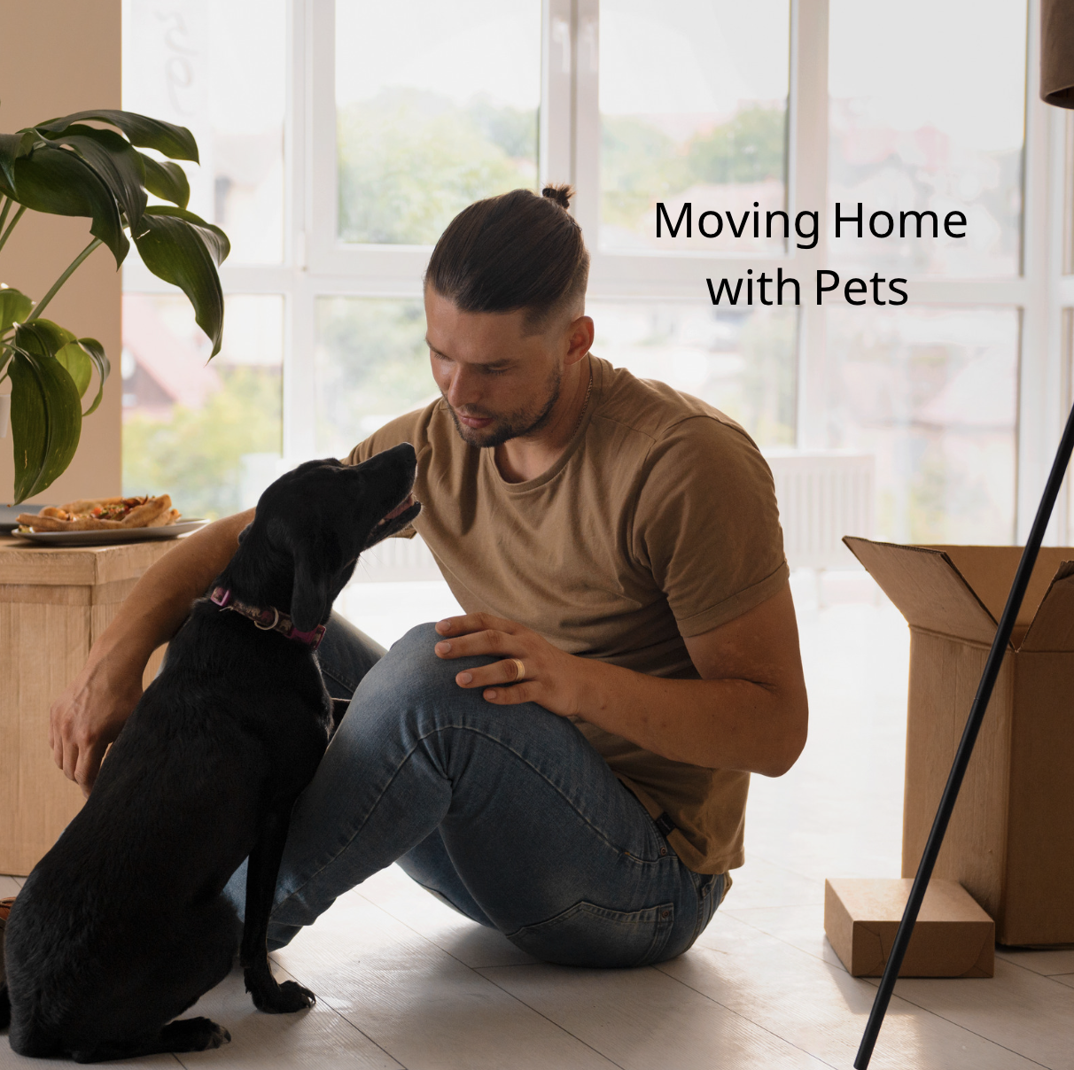 Moving home with pets