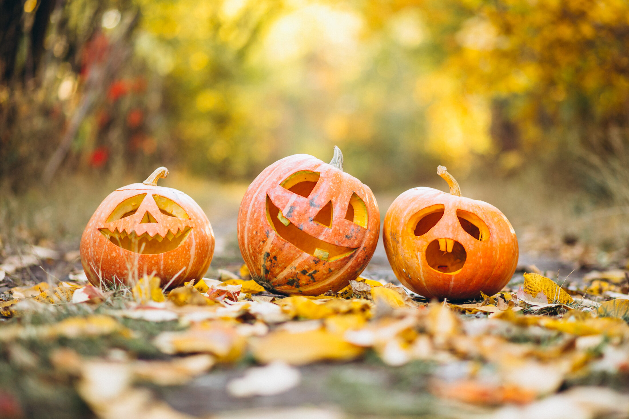 Carve a pumpkin and win £500 for your school!