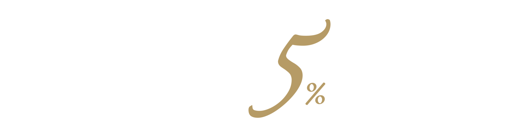 Exclu5ive Logo 2