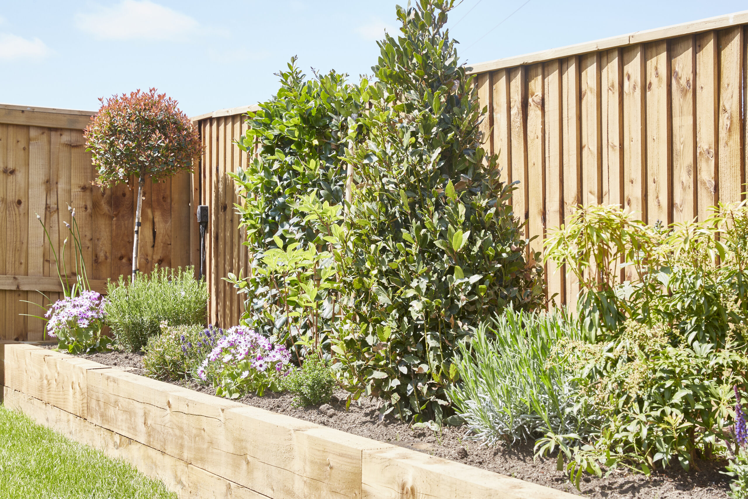 Boarded fence